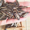 High Quality Wholesale Custom Cheap Hybrid Sunflower Seed Brands Price Sunflower Seeds