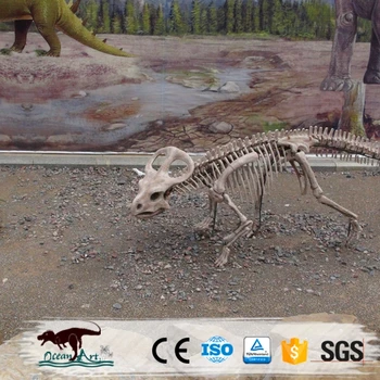 Download 71 Gambar Foto Dinosaurus Asli Keren Gratis HD