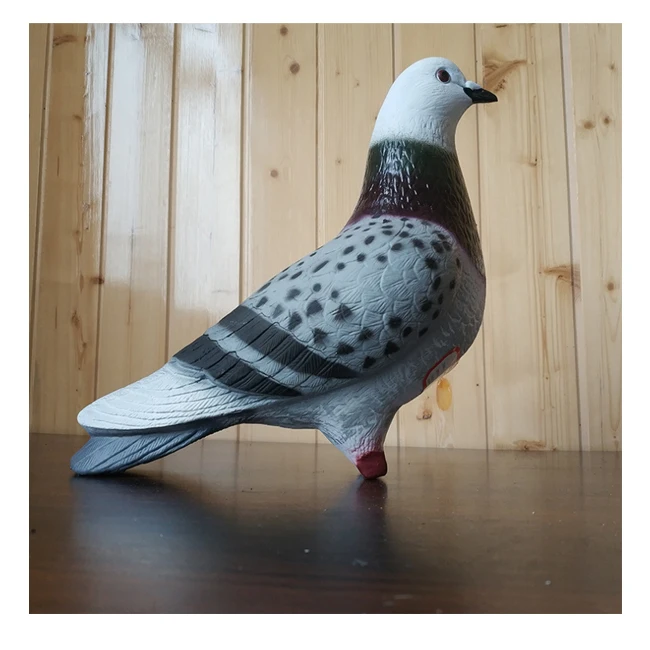 white pigeon.jpg