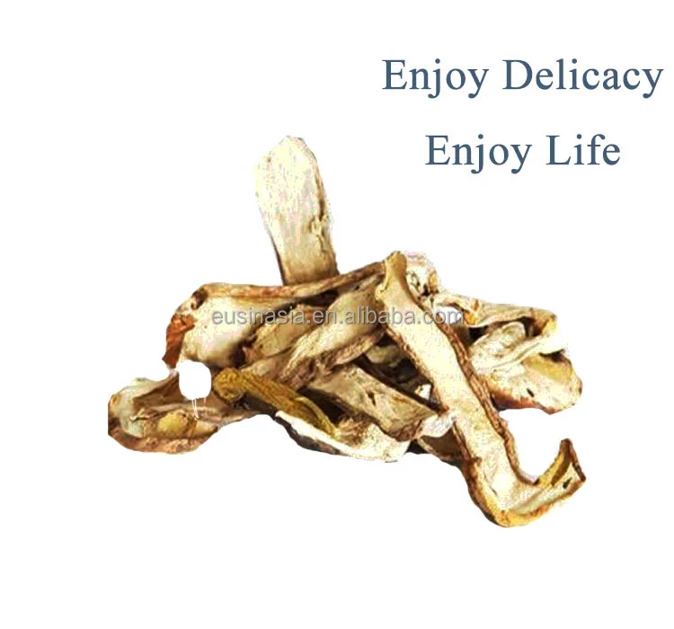 新作物新鲜牛肝菌/冷冻或干牛肝菌