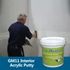 Premium Quality Water Resistant Wall Patching and Plastering GM11 Interior Acrylic Putty