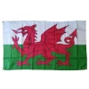 Hot Selling 3x5ft Large Digital Printing Welsh Dragon Flag
