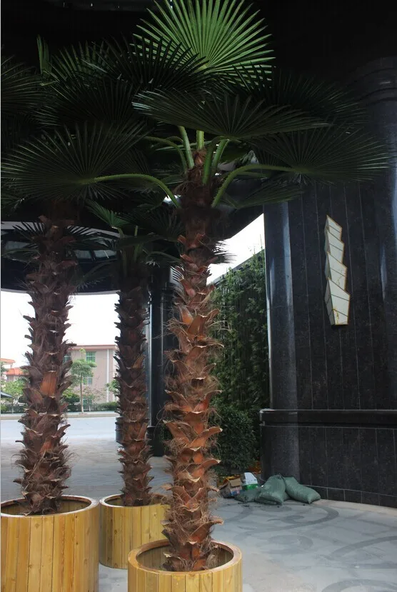 Indoor Decoration Palm Tree Pots Fiberglass Palm Tree View Palm