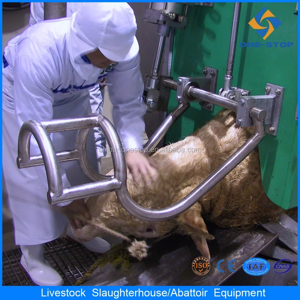 200 Per Day Cattle Veal Buffalo Meat Slaughterhouse Plant Equipment