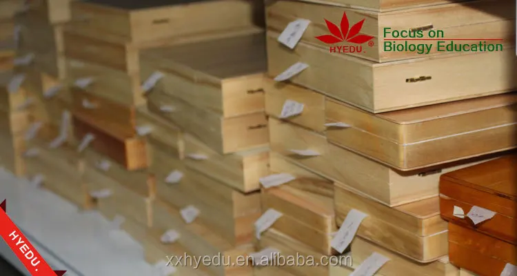 Human histology slides.jpg