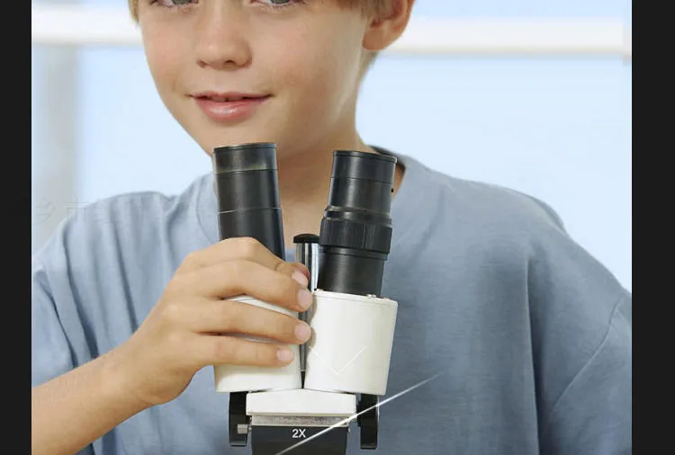 006 Entomology series microscope slides.jpg