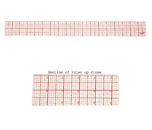 Livr/é avec /étui sangle et chiffon de nettoyage. VisionPro Jumelles professionelles 10x50 Lentilles avec rev/êtement anti-reflets Observation doiseaux Astronomie Sports Faune et flore Fort grossissement de 10 x 50 bouchons dobjectifs
