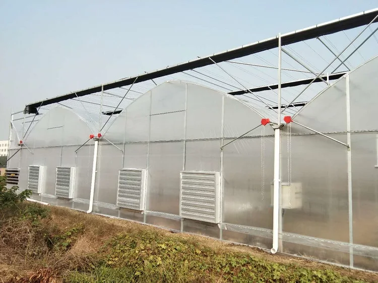 greenhouse manual hand crank.jpg