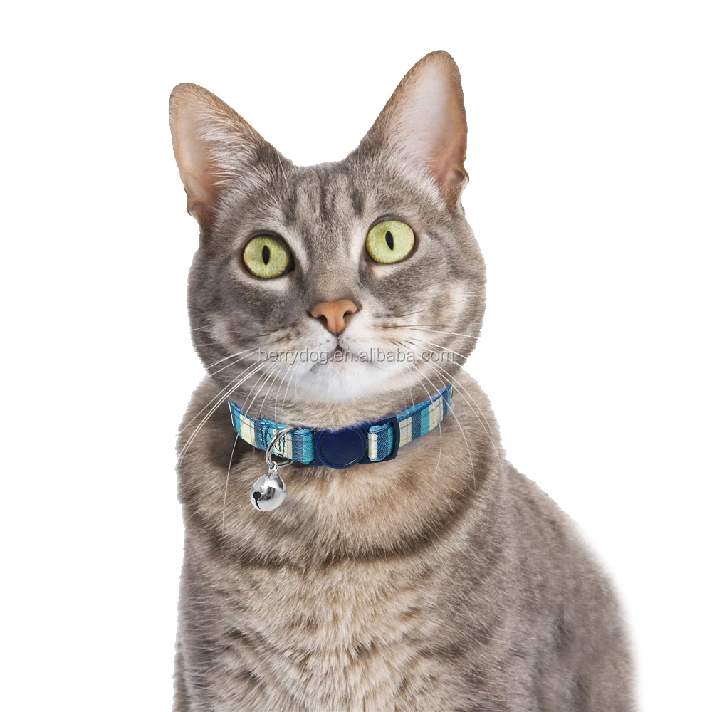 breakaway cat collar buckles