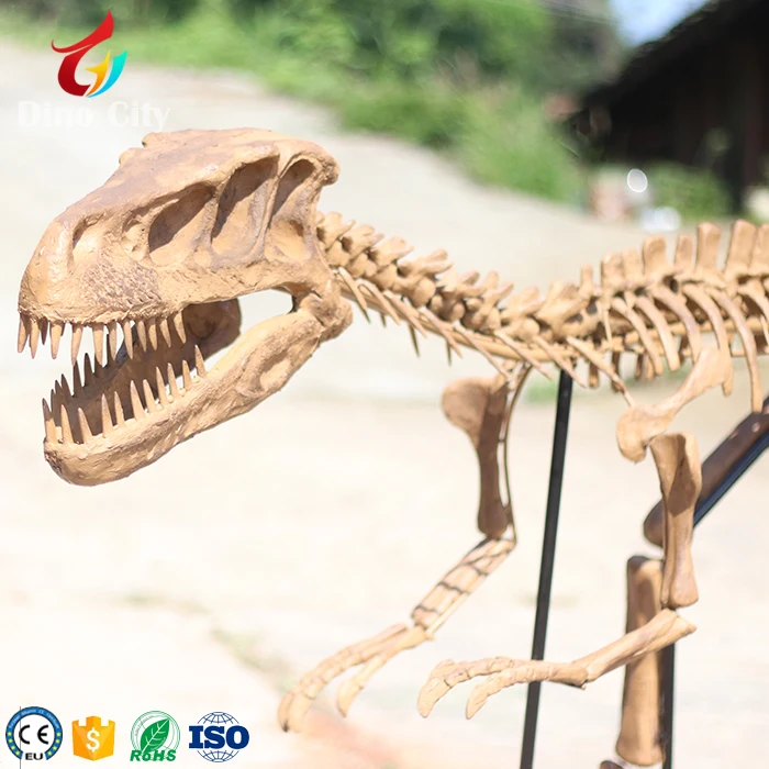 dinosaur skeleton figurine