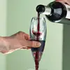 Quick and Magic Decanter Red Wine Filter Portable Essential Aerator Set Xmas Gift