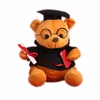 New graduation plush toy the graduation teddy bear