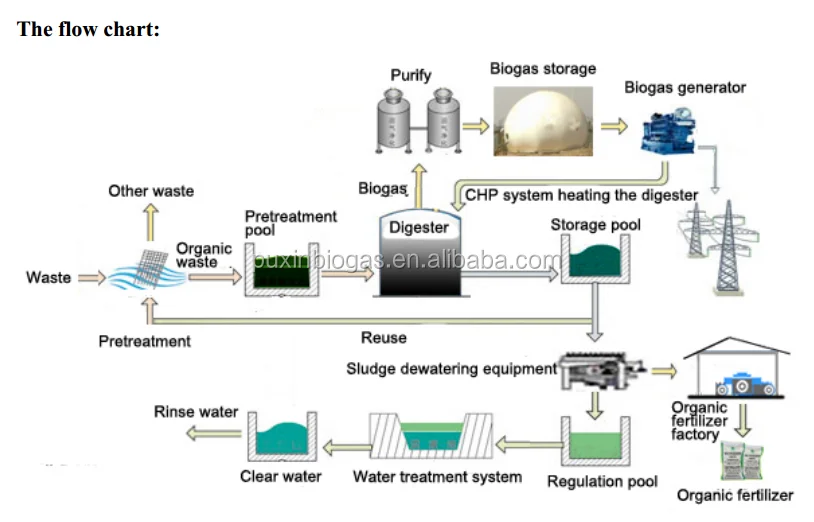 Animal Waste Treatment Plant For Producing Electricity Generation 