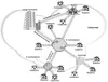 B2B EDI Integration