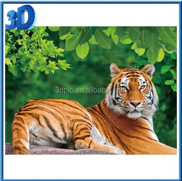 3d picture