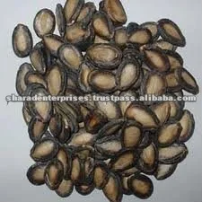 water melon seed.jpg
