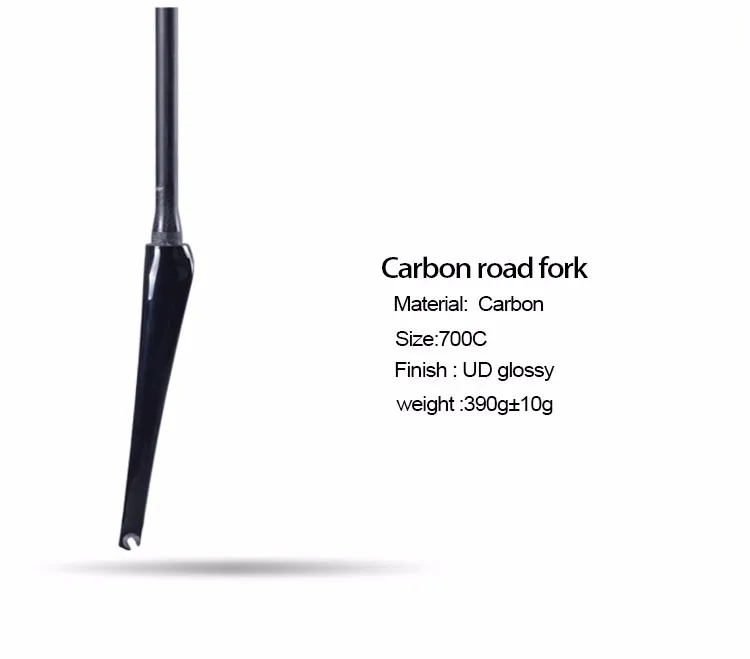 bxt carbon fork review