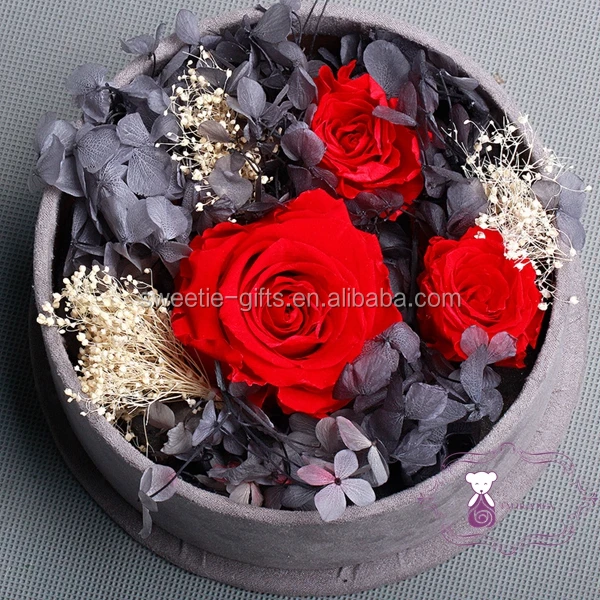 600 Gambar Bunga Mawar Hadiah Valentine 600 Gambar Bunga Mawar Hadiah Valentine