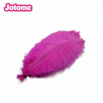 Luxury Wholesale Many Colors And Sizes Ostrich Feather For Diy