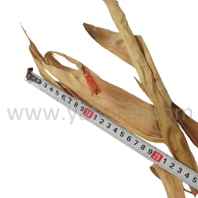 China Silk Corn Plant China Silk Corn Plant Manufacturers And