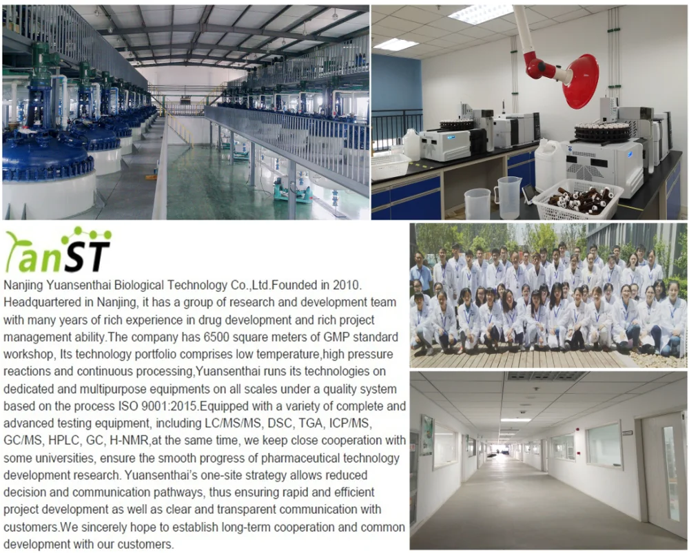 paste-pic-dp_uuid_z7zft