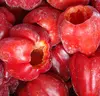 IQF frozen fresh red pepper