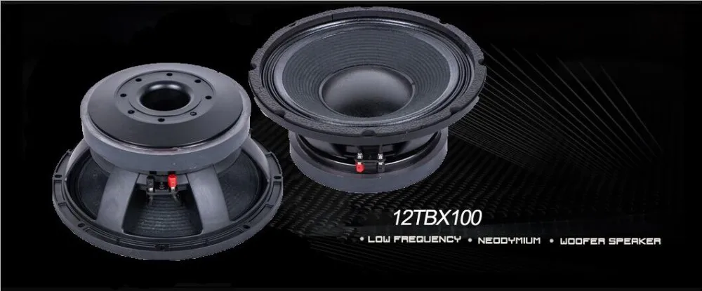 12 inch home stereo speakers