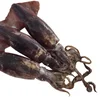 150g down North Pacific Squid Red Oceanic Squid