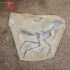 real size spinosaurus,raptor puzzle dinosaur skeleton