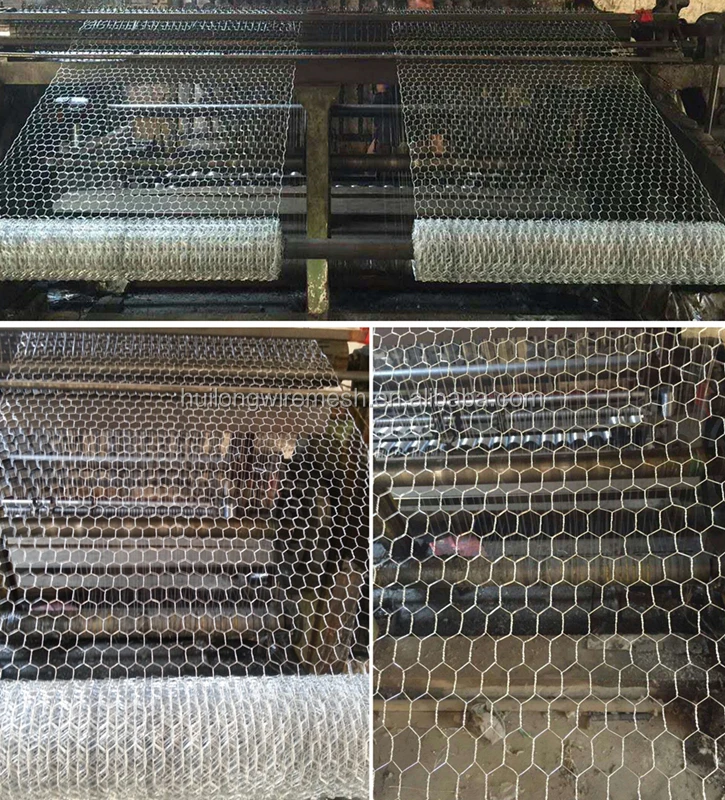 dog grooming equipment ebay