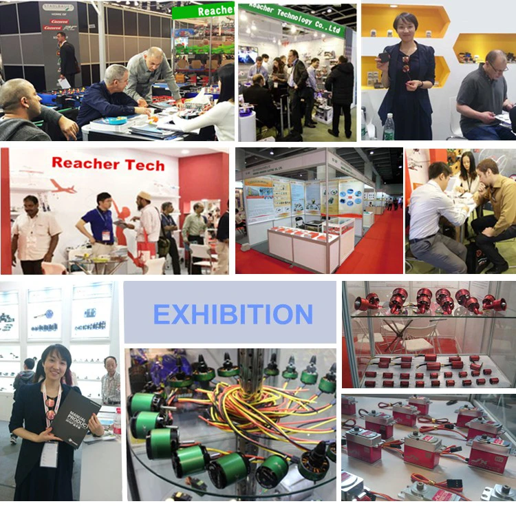 EXHIBITION 01 RC.jpg