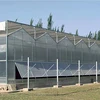 Durable Galvanized steel Structure Multi span PC sheet Polycarbonate greenhouse