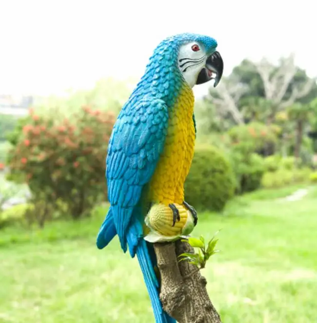 resin parrot statue