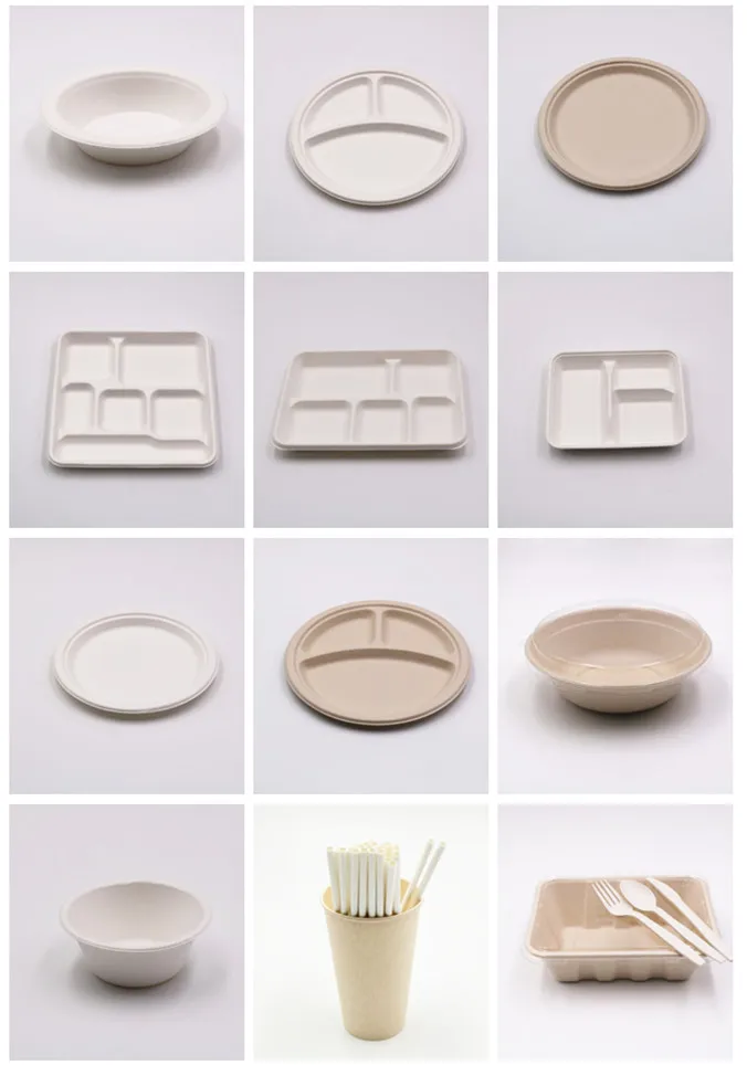biodegradable bagasse food delivery containers