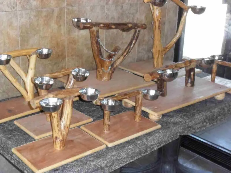 parrot stand