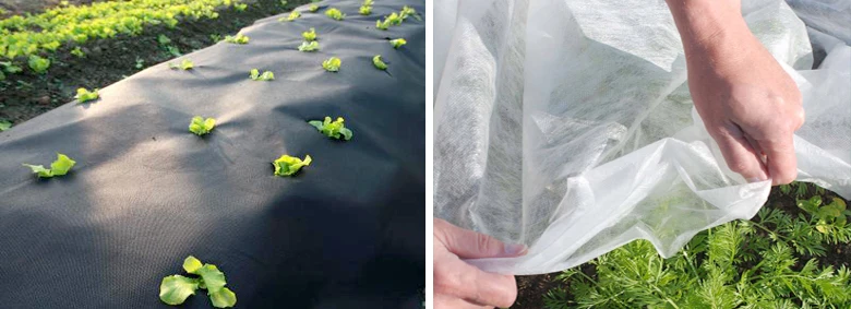 High-quality Agriculture Nonwoven Plant Protection Cover For PP Nonwoven Fabric Supplier
