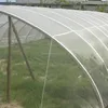 2018 New design best choice PE Insect proof Nets / pest control web /fiberglass insect nets