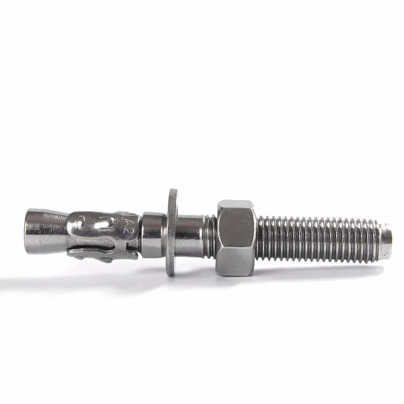 Ss 304 316 Stainless Steel A2 A4 Hollow Wall Hook Anchor Bolt Buy