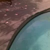 Tongue and groove design 100% recycled hot sale exterior wood plastic flooring composite decking material for pool
