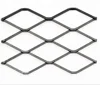 Made in China Scaffolding Expanded Metal Mesh factory price