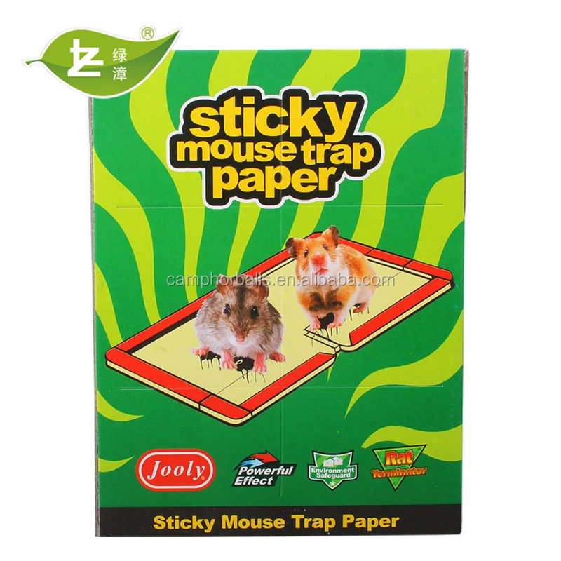 Factory Directly Provide High Quality New Style Paper Board Mouse &rat