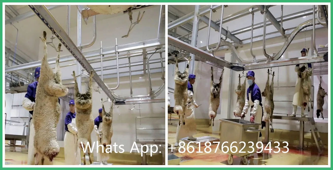 New Lamb Slaughterhouse Equipment With Goat Halal Slaughtering