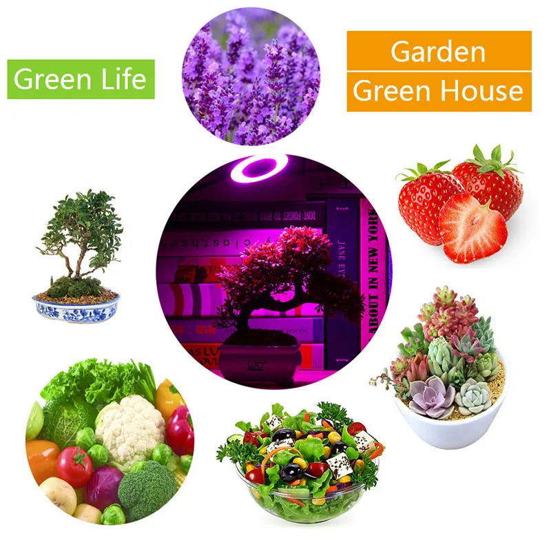 Accelerate Garden Vegetable Flowers Potted Plants Growth 10W LED Grow Lamp 3 Mode Dimmable High Bright Holder Clip Plant Light
