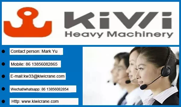 kiwi contact .jpg