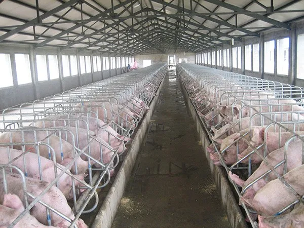 Pig Gestation Crates For Pig Farm Price In India For Sale - Buy ...