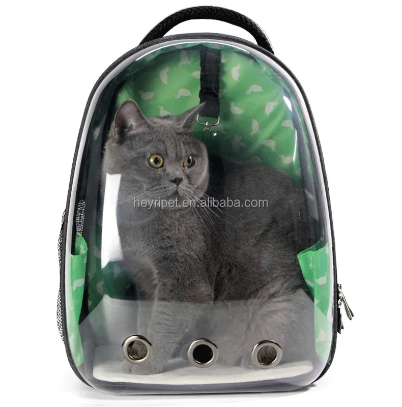 cat globe backpack