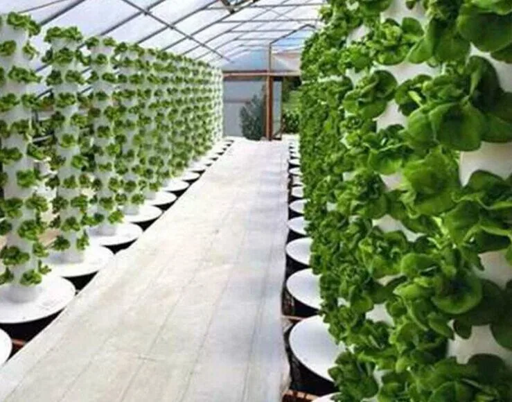 Agriculture Growing Plant Aeroponic Hydroponics Farm Equipment