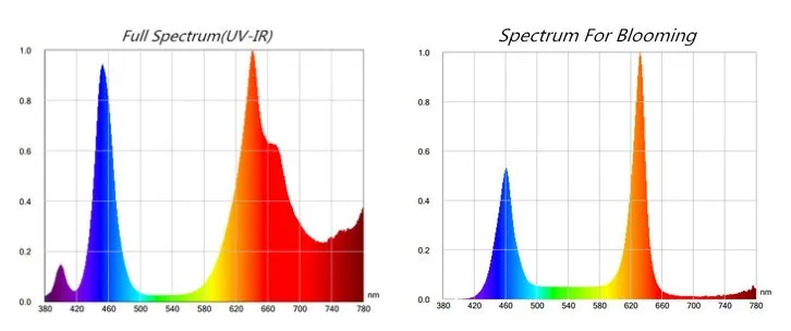 spectrum
