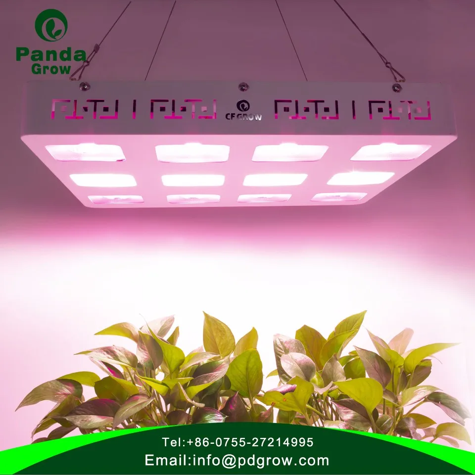 Ce&rohs Listed High Lumens 1200w Led Grow Light For Microgreens