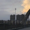 4G Signal Wireless Communication Towers Telecommunication Towers Monopole Cell Tower